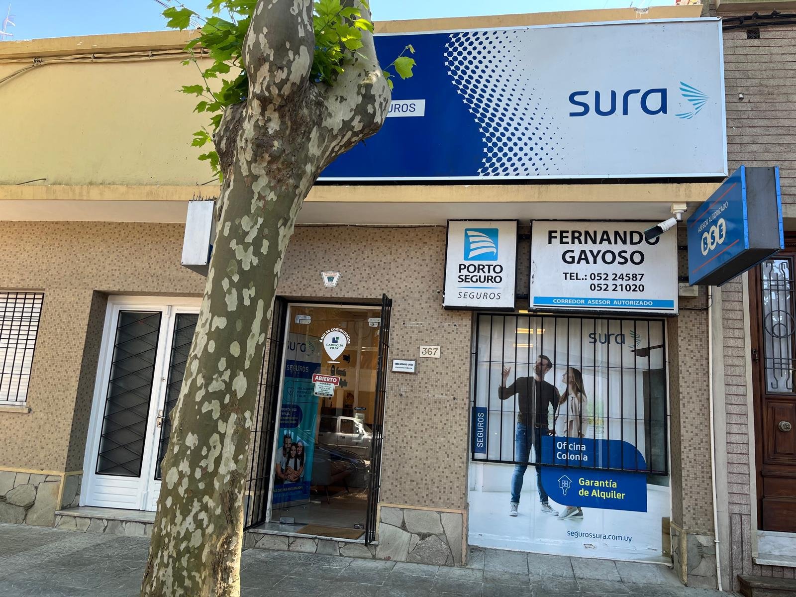 seguros en colonia